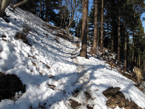 20160128hike (58)
